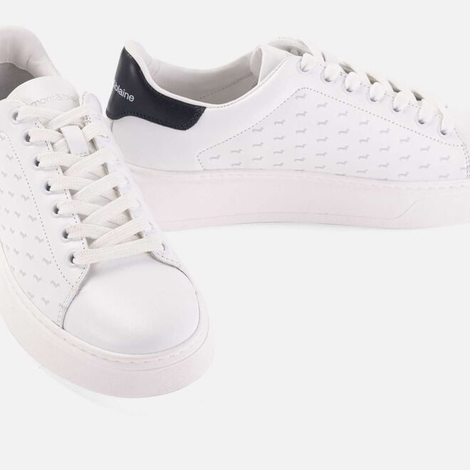 (image for) Shop On Line Sneaker in pelle con motivo bassotti harmonte blaine
